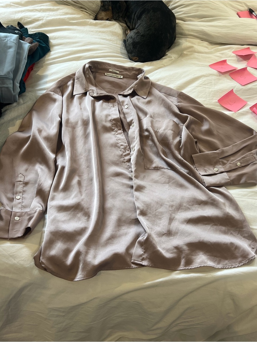 Abercrombie & Fitch Satin Button-Up Shirt - Mauve
